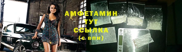 гидра Новодвинск