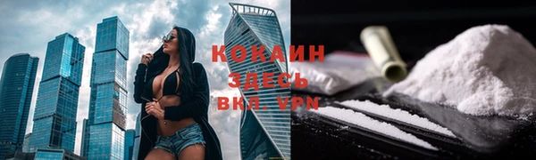 гидра Новодвинск