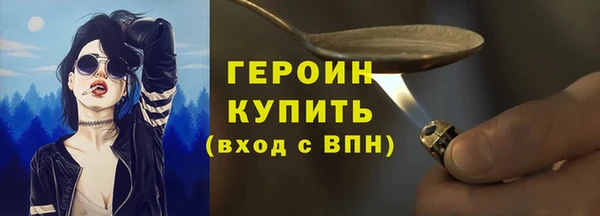 гидра Новодвинск