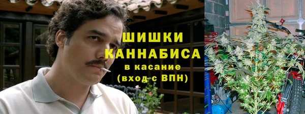 MESCALINE Новокубанск